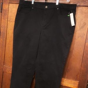 Terra Sky black pants size 20W
